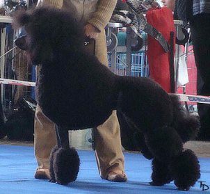 Alluring Antoanetta Elizabeth´s Children